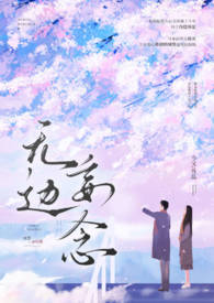 司机先生