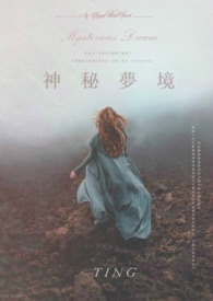 沈川的小夫郎